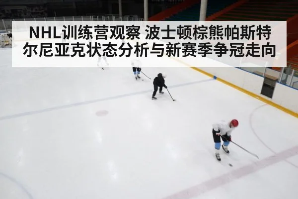 NHL训练营观察 波士顿棕熊帕斯特尔尼亚克状态分析与新赛季争冠走向