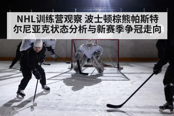ice hockey game action